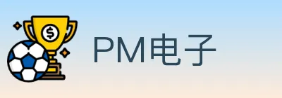PM电子 logo